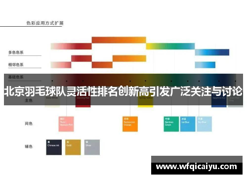 北京羽毛球队灵活性排名创新高引发广泛关注与讨论