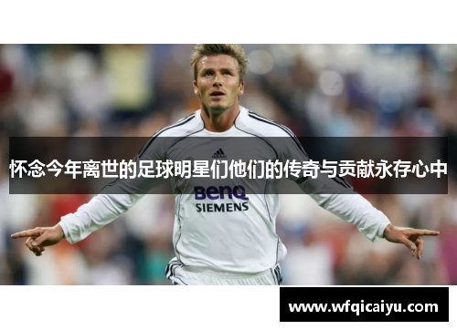 怀念今年离世的足球明星们他们的传奇与贡献永存心中